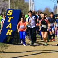 1459948007_1459678878_xmw-qlkasqu